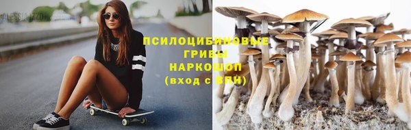 спиды Арсеньев