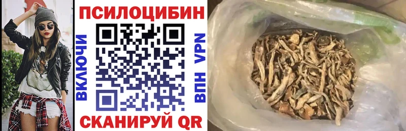 дарнет шоп darknet Telegram Галлюциногенные грибы мицелий Ногинск